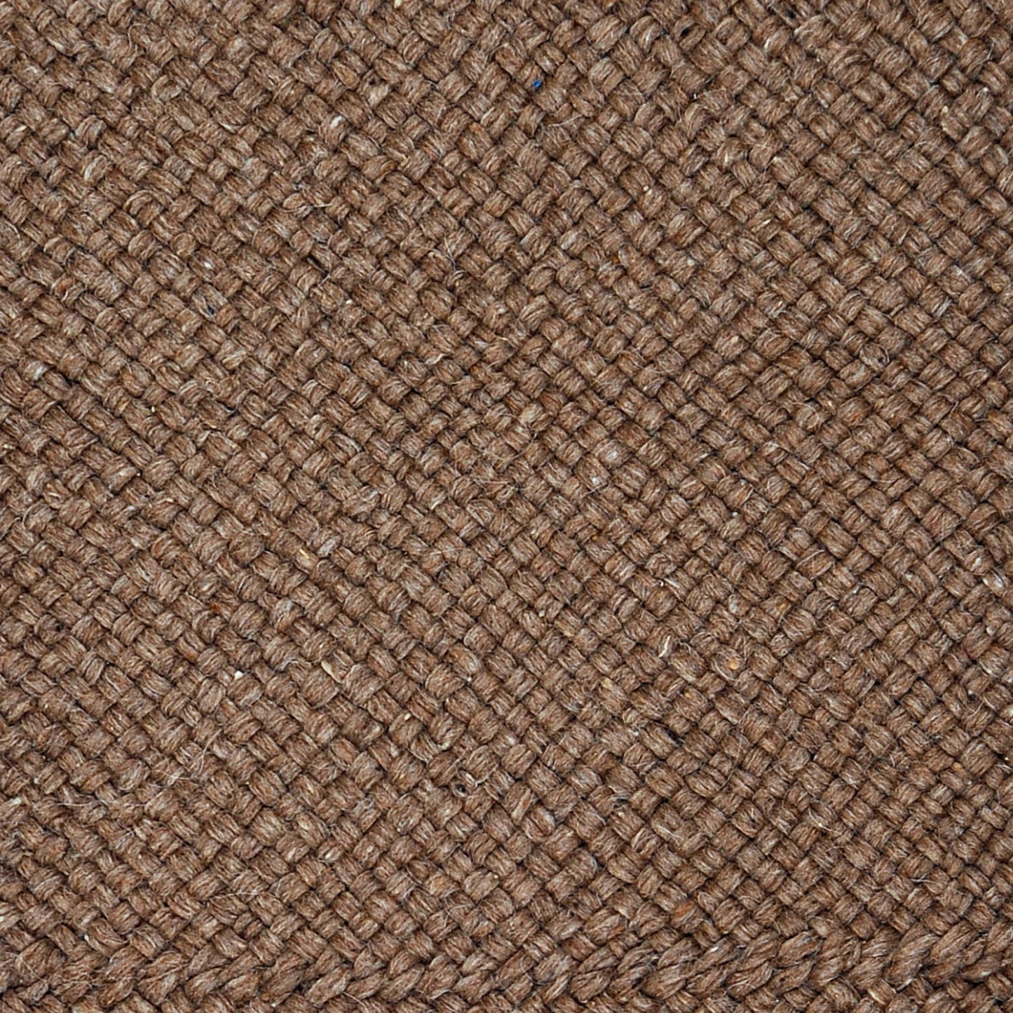 Rug Molle︱Walnut